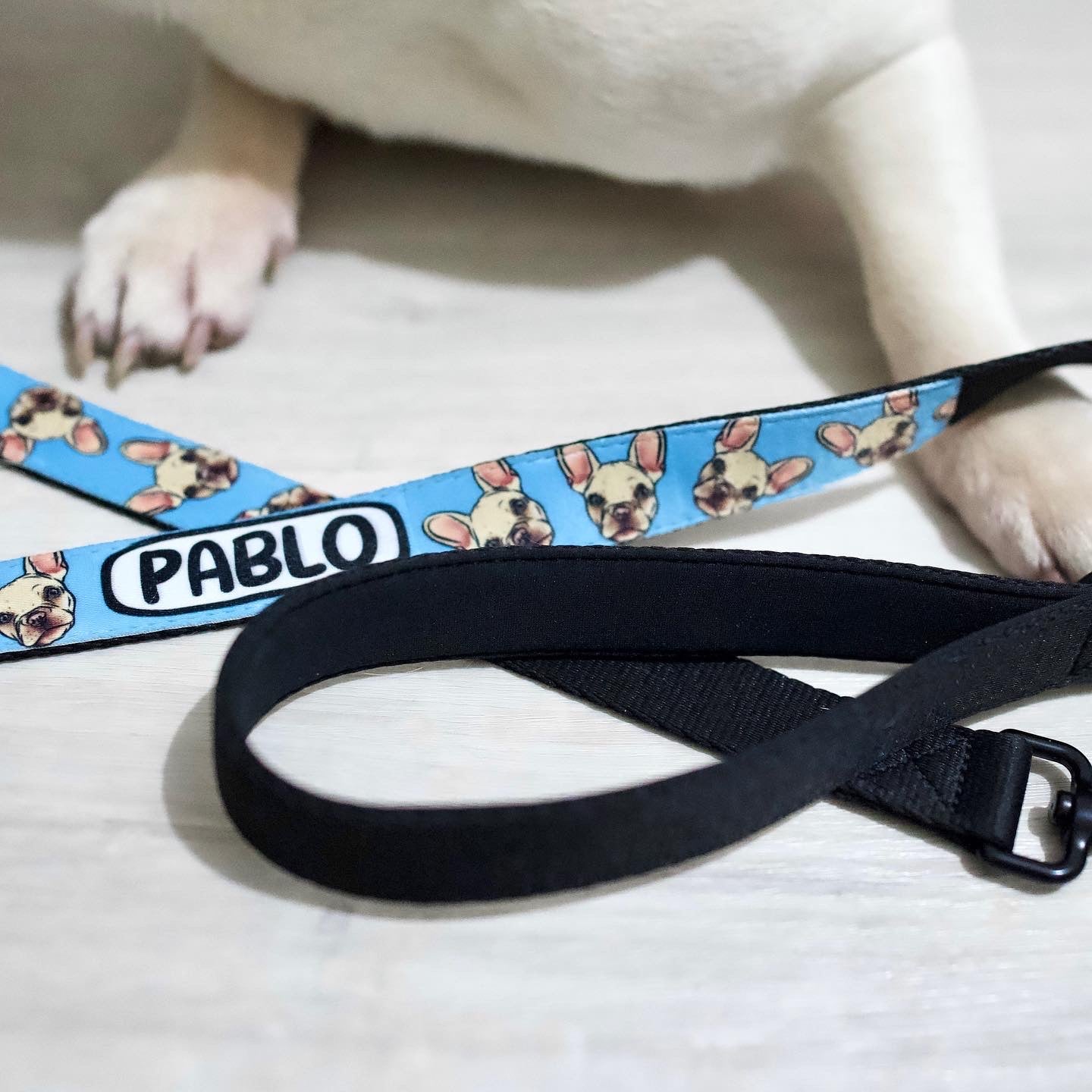 Bespoke Dog Portrait Lead