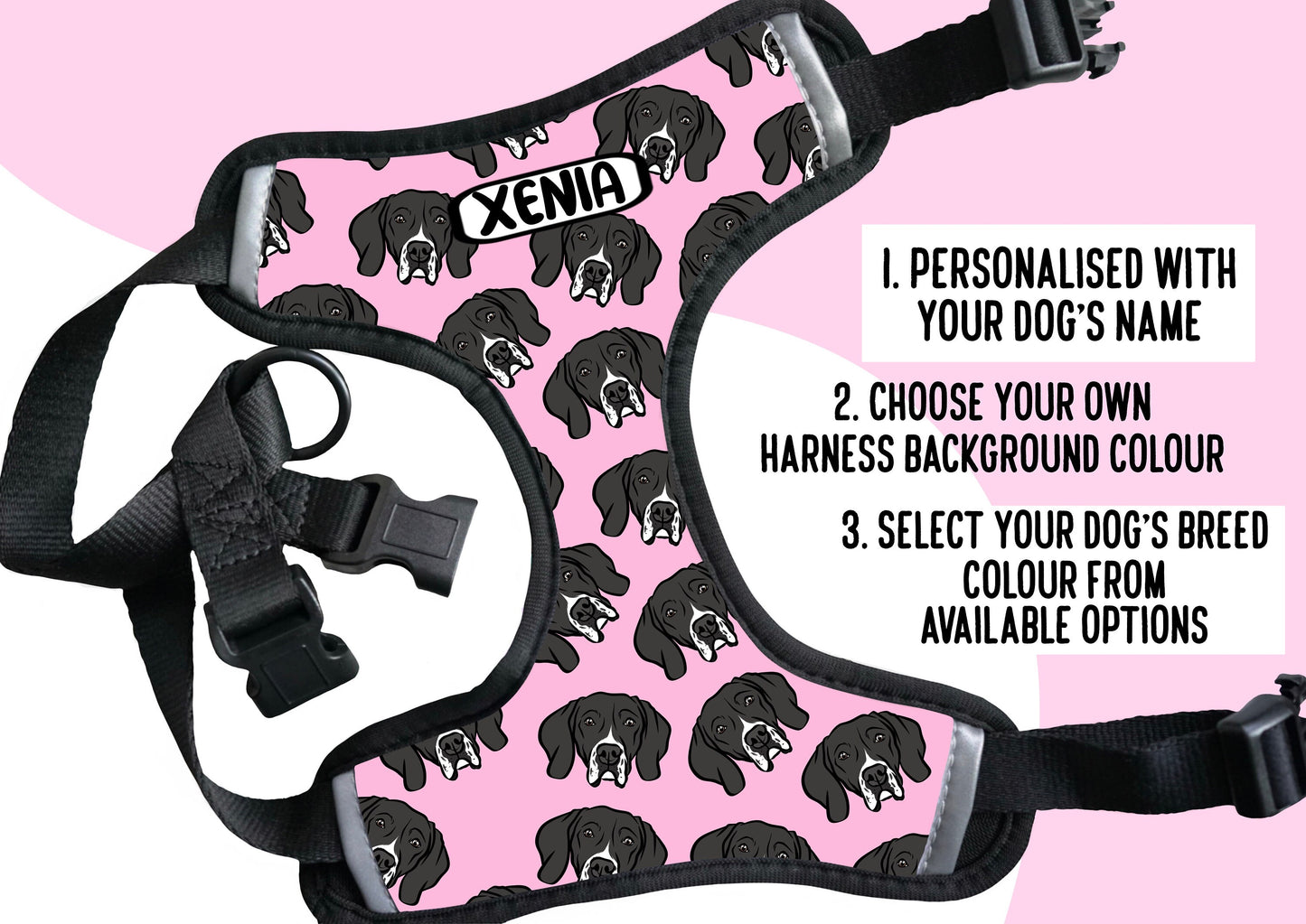 English Pointer Face Harness