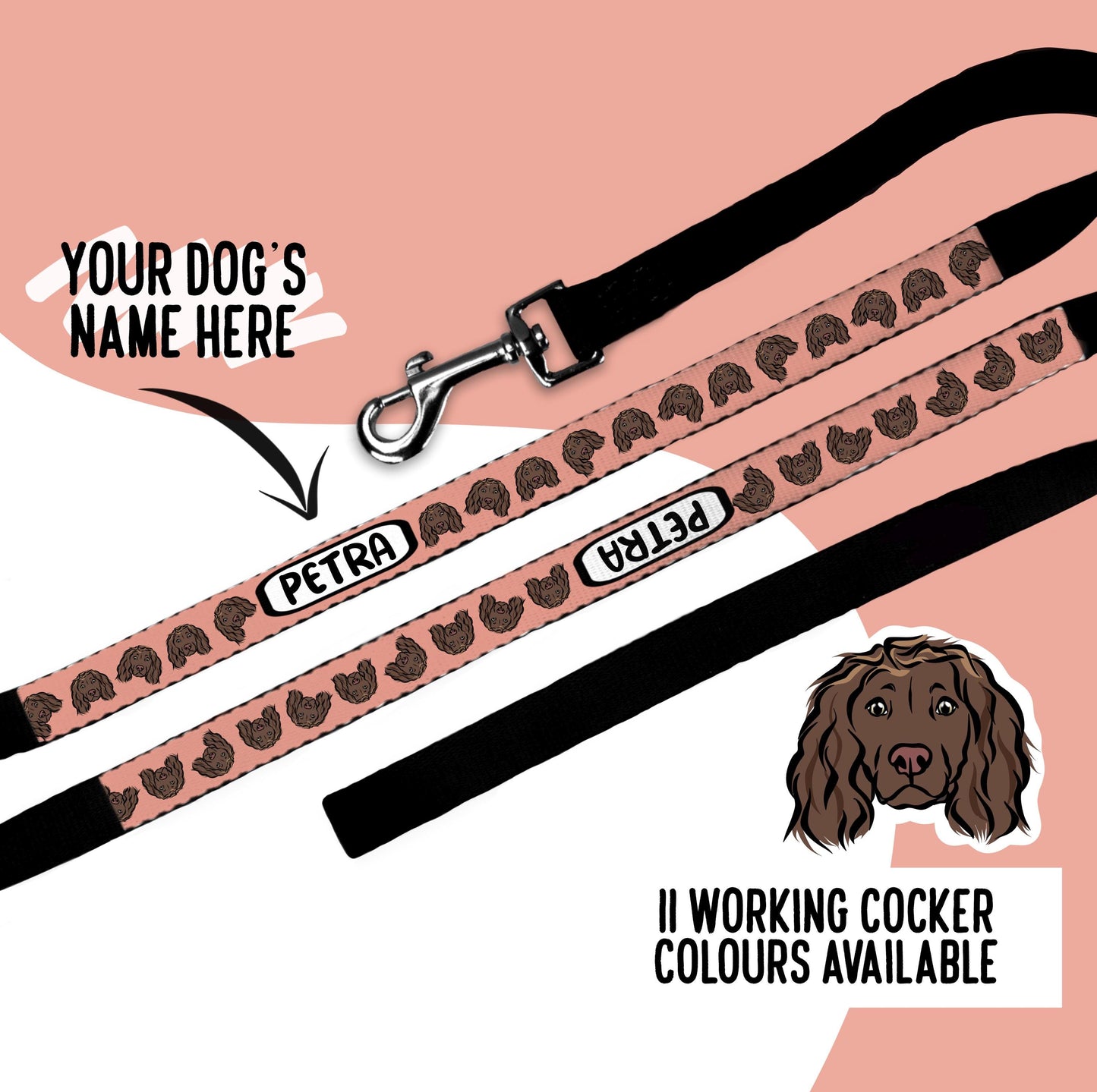 Working Cocker Spaniel Lead