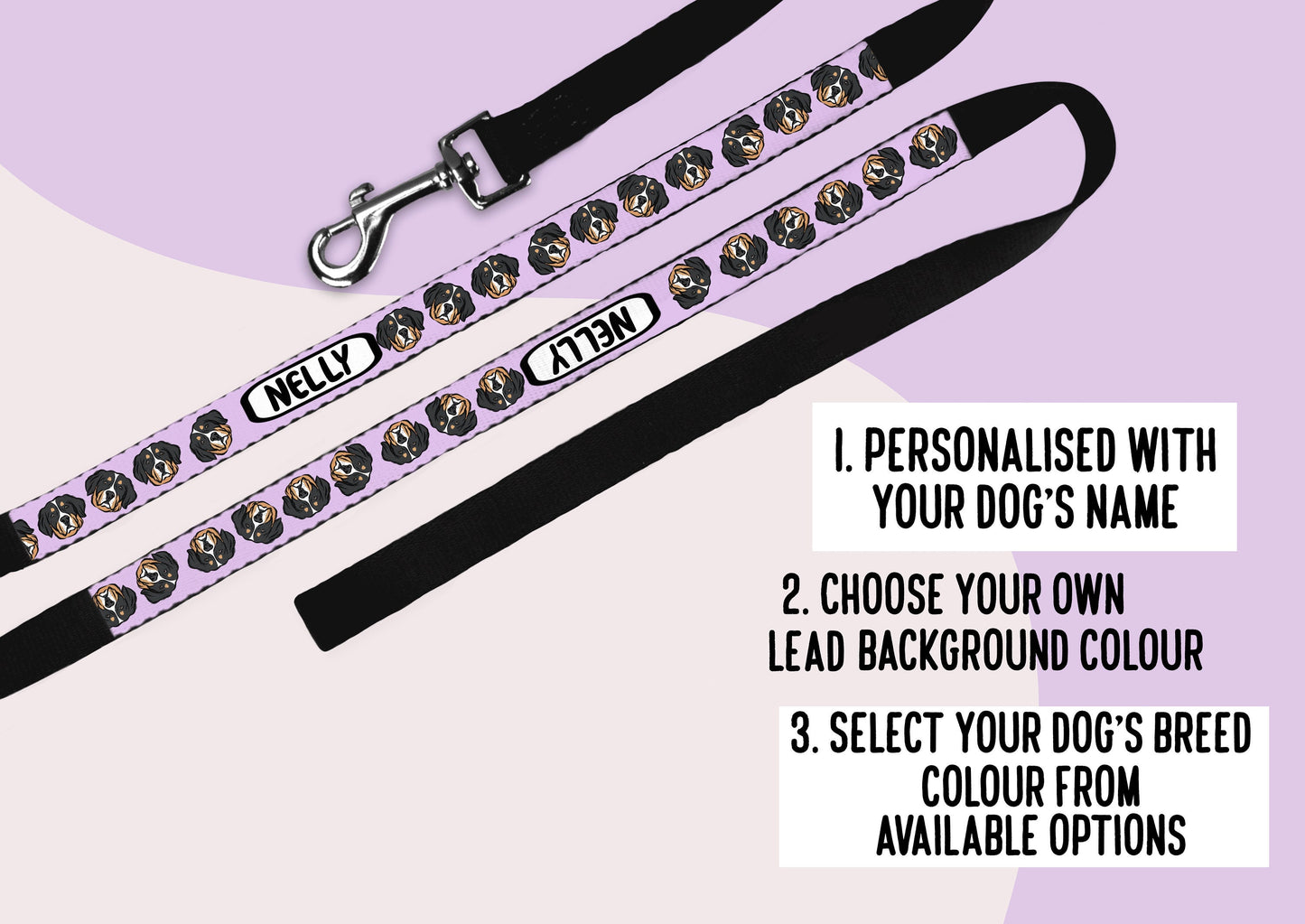 Bernese Mountain Dog Lead