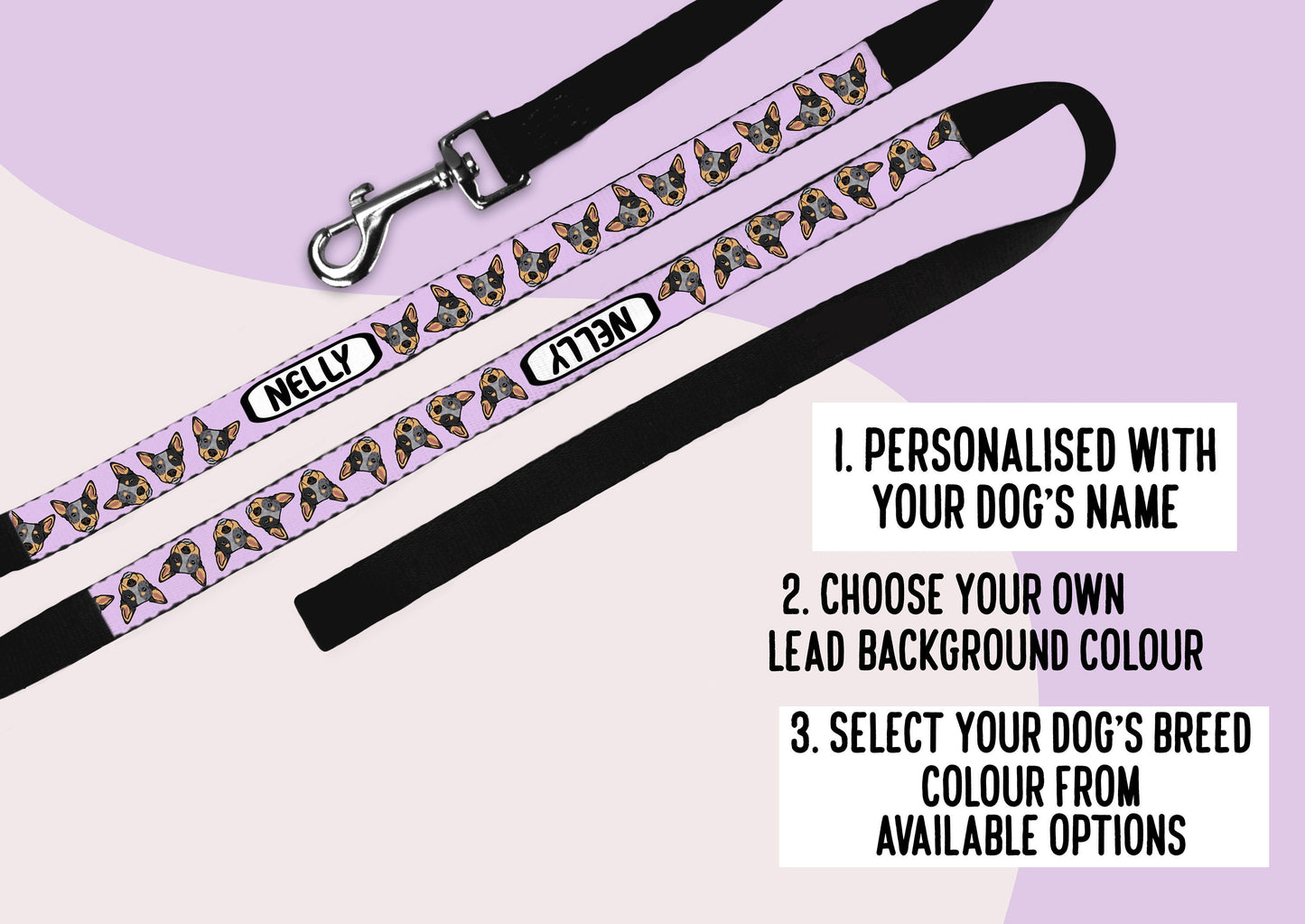 Australian Cattle Lead