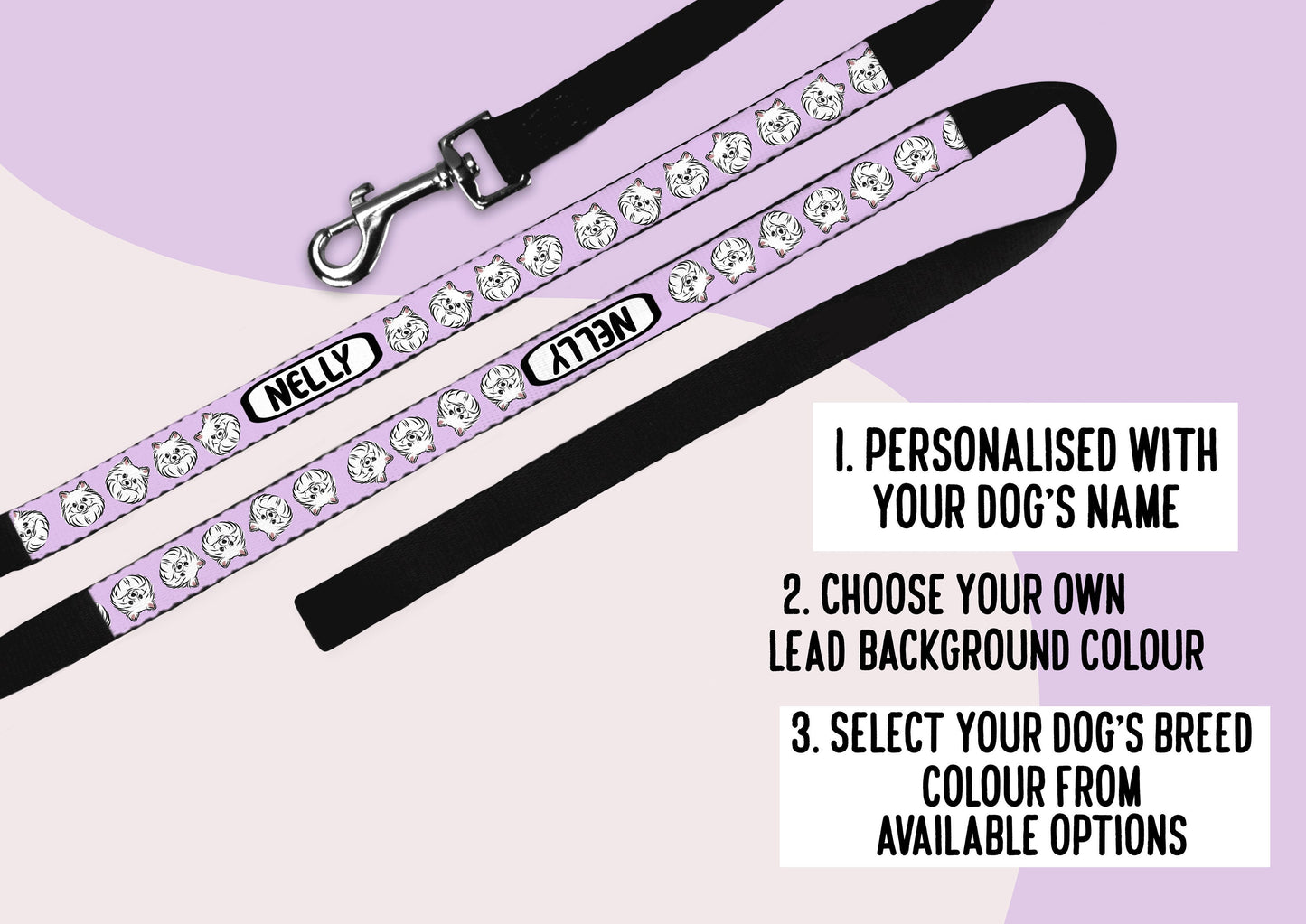 Pomeranian Dog Lead