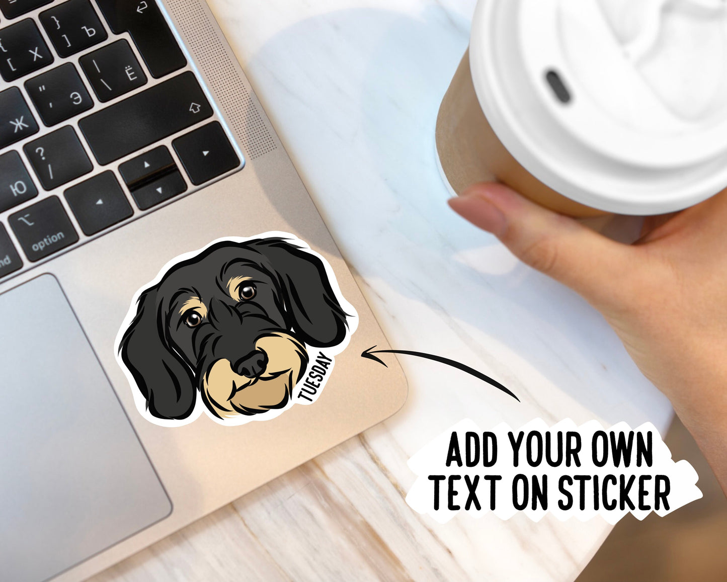 Wire Haired Dachshund Stickers