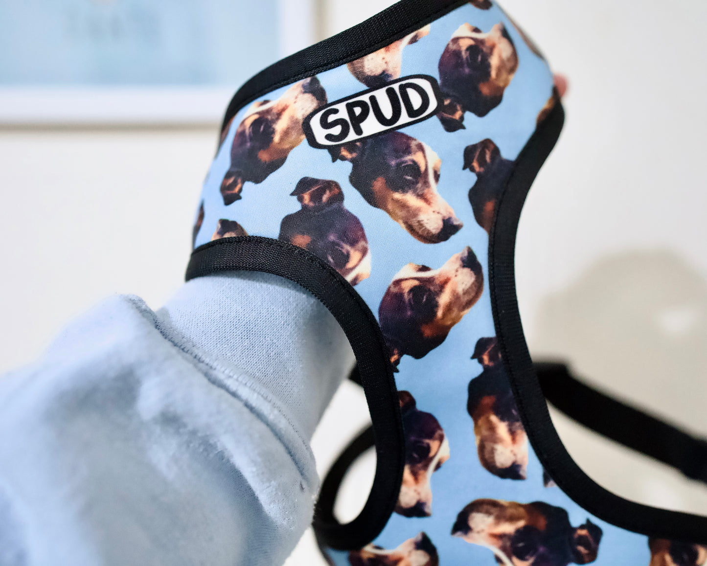 Personalised Dog Photo Harness
