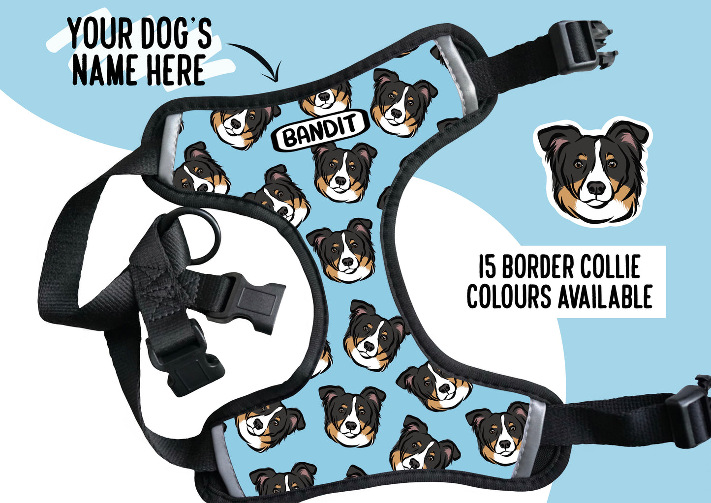 Border Collie Harness