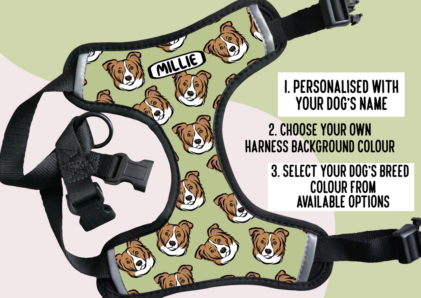 Border Collie Harness