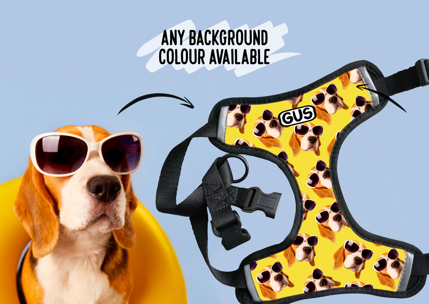 Personalised Dog Photo Harness