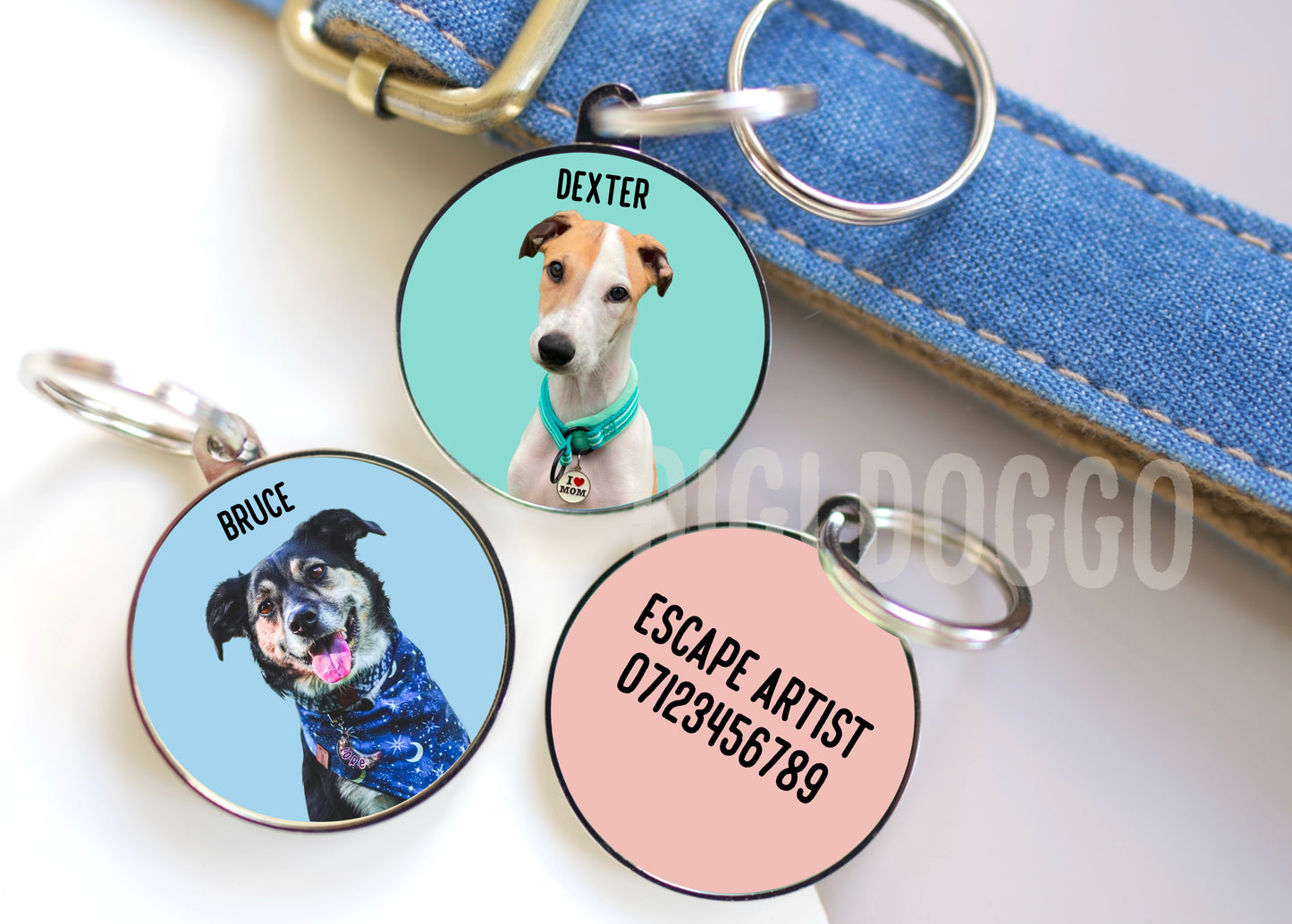 Pet Photo ID Tag