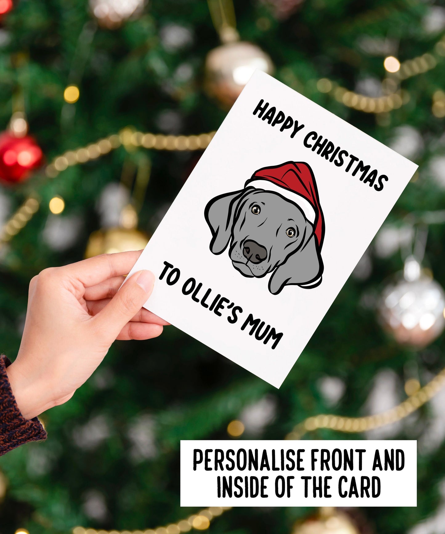 Weimaraner Christmas Card