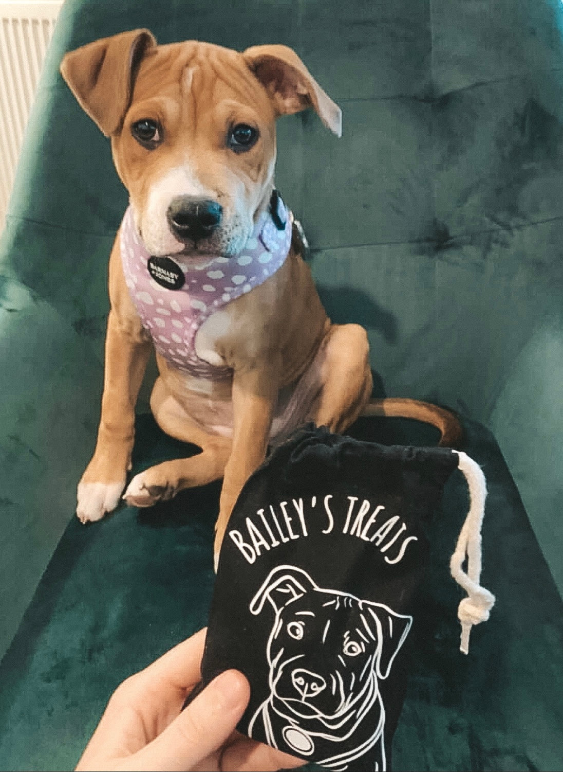 Pet Portrait Treat Bag (Black)
