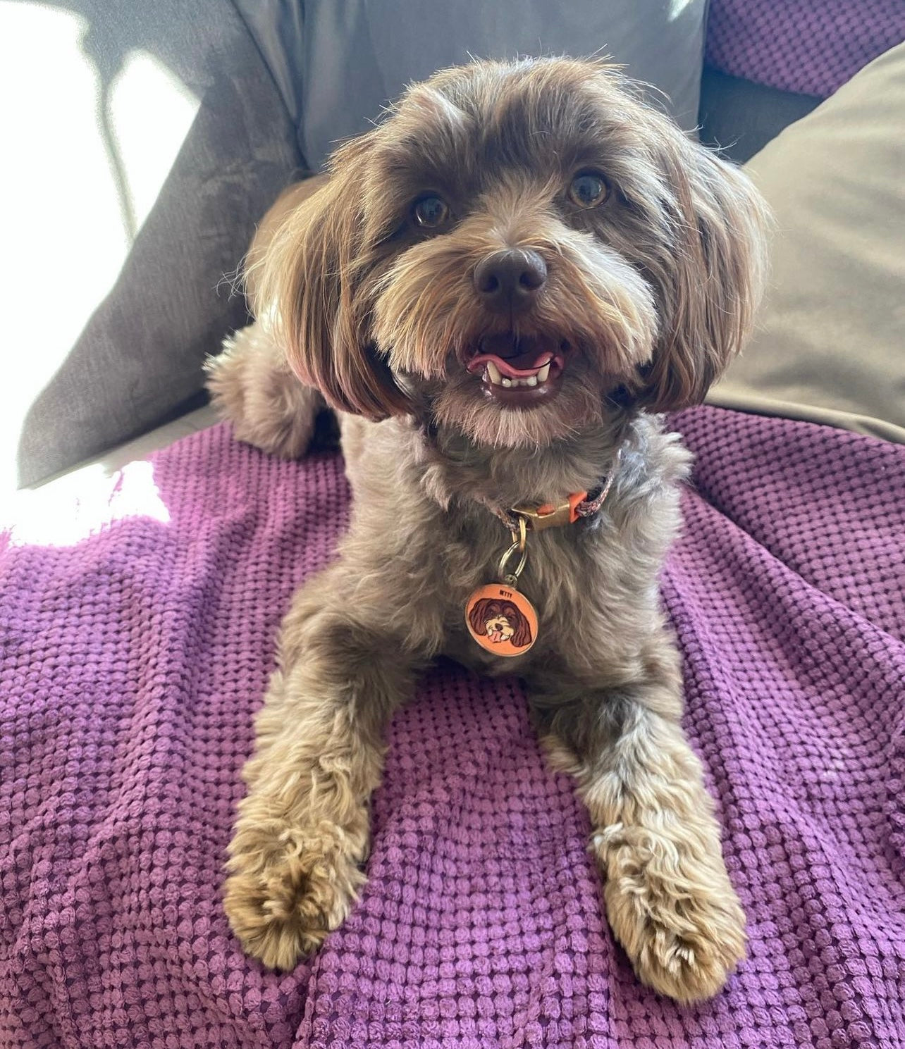 Bespoke Pet Portrait ID Tag