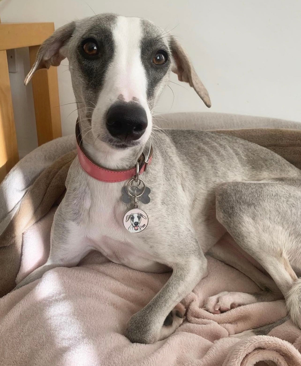Bespoke Pet Portrait ID Tag