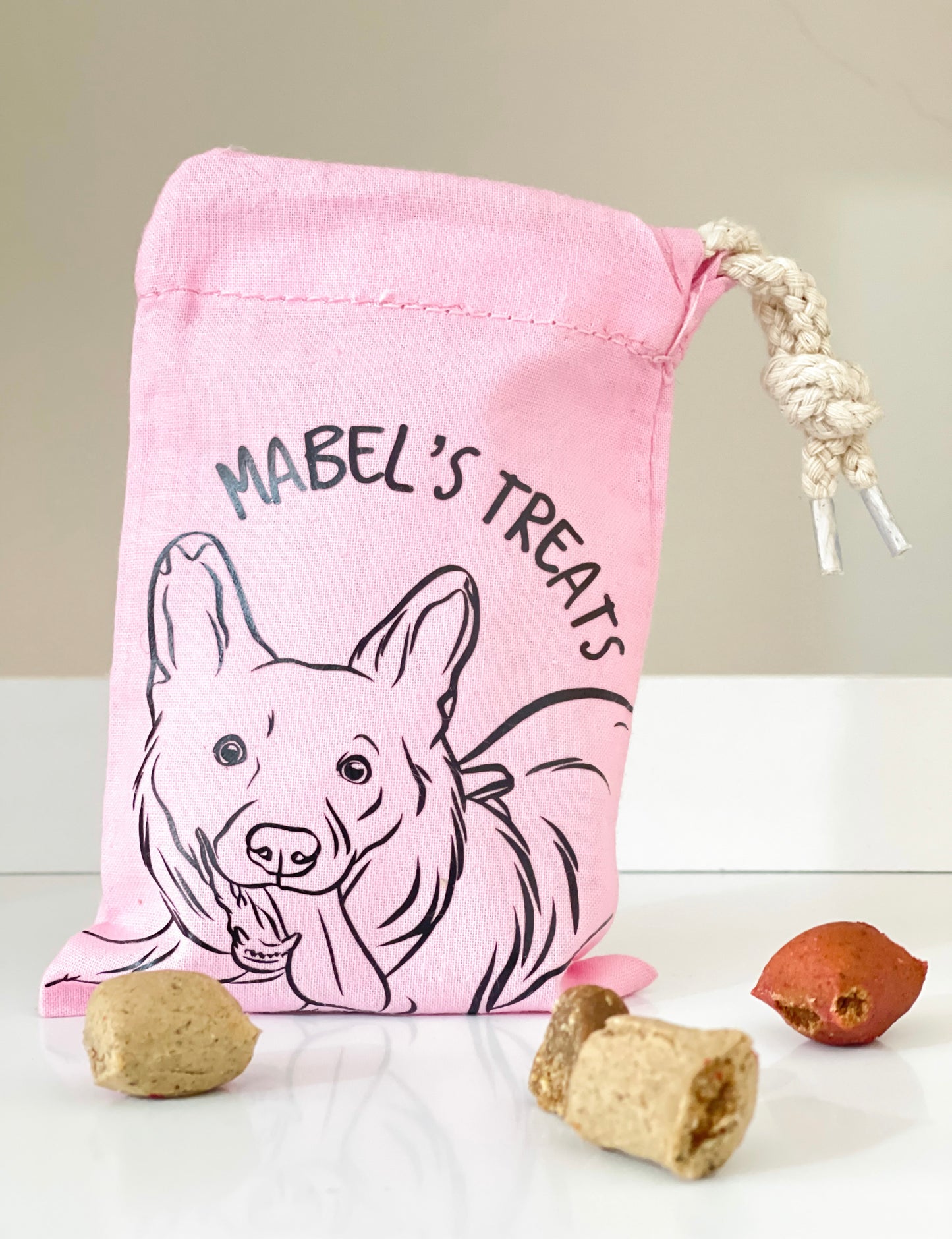 Pet Portrait Treat Bag (Pink)