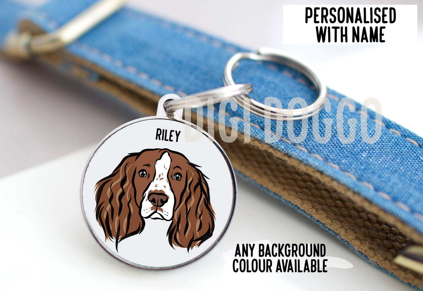Springer Spaniel ID Tag