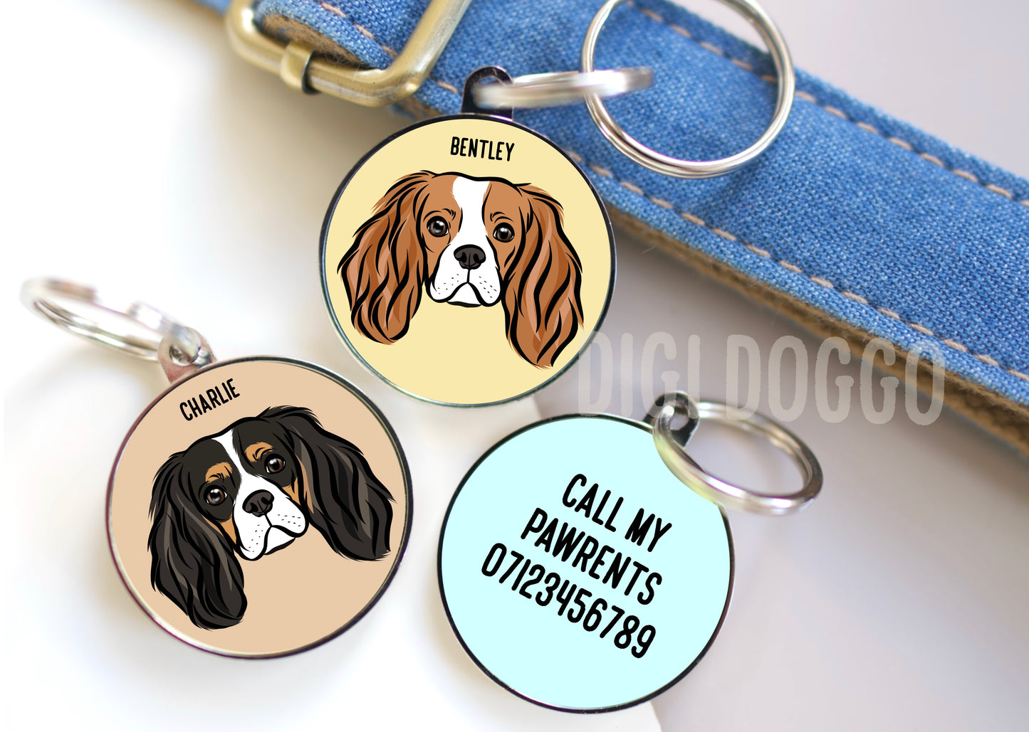 Cavalier King Charles Spaniel ID Tag