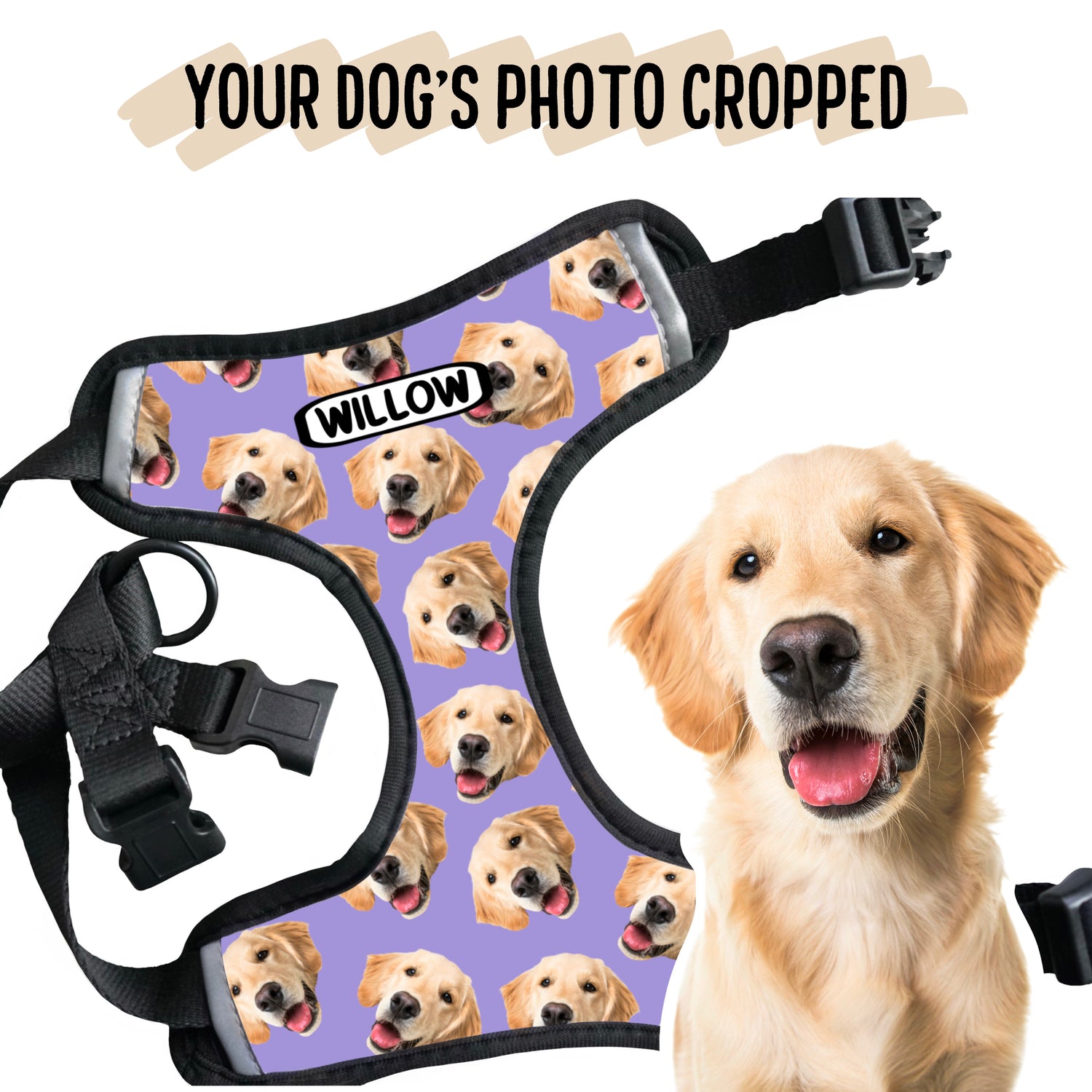 Dog Photo Harness