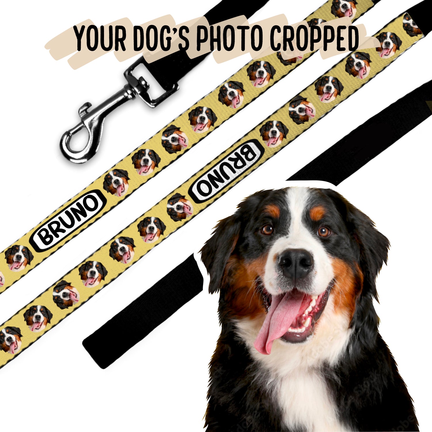 Dog Photo Lead