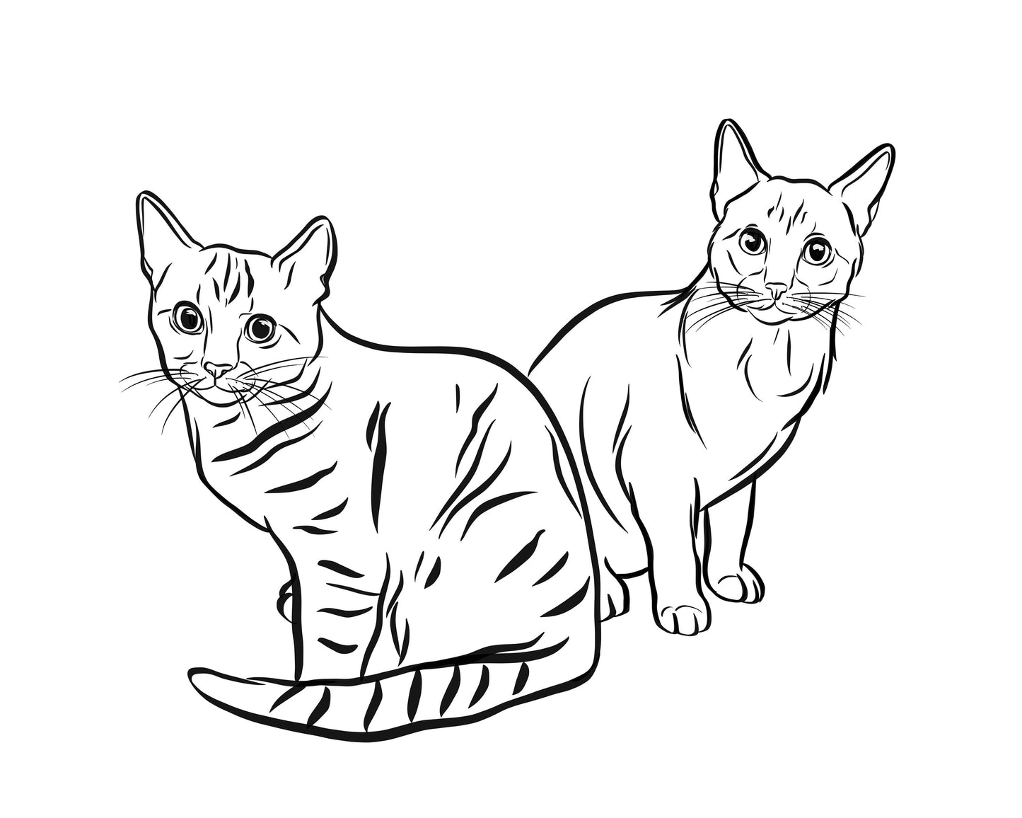Cat Outline Drawing/ Personalised Line Art/ Minimalistic Cat Illustration/ Cat Owner Memorial Gift/ Cat Loss Gift/ Kitten Portrait Sketch