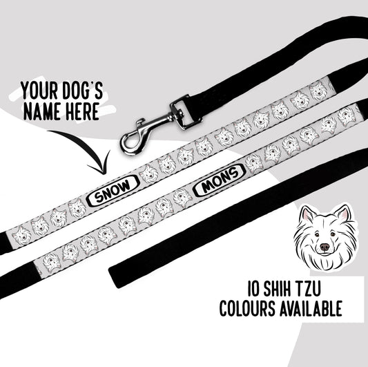 Samoyed Owner Dog Lead