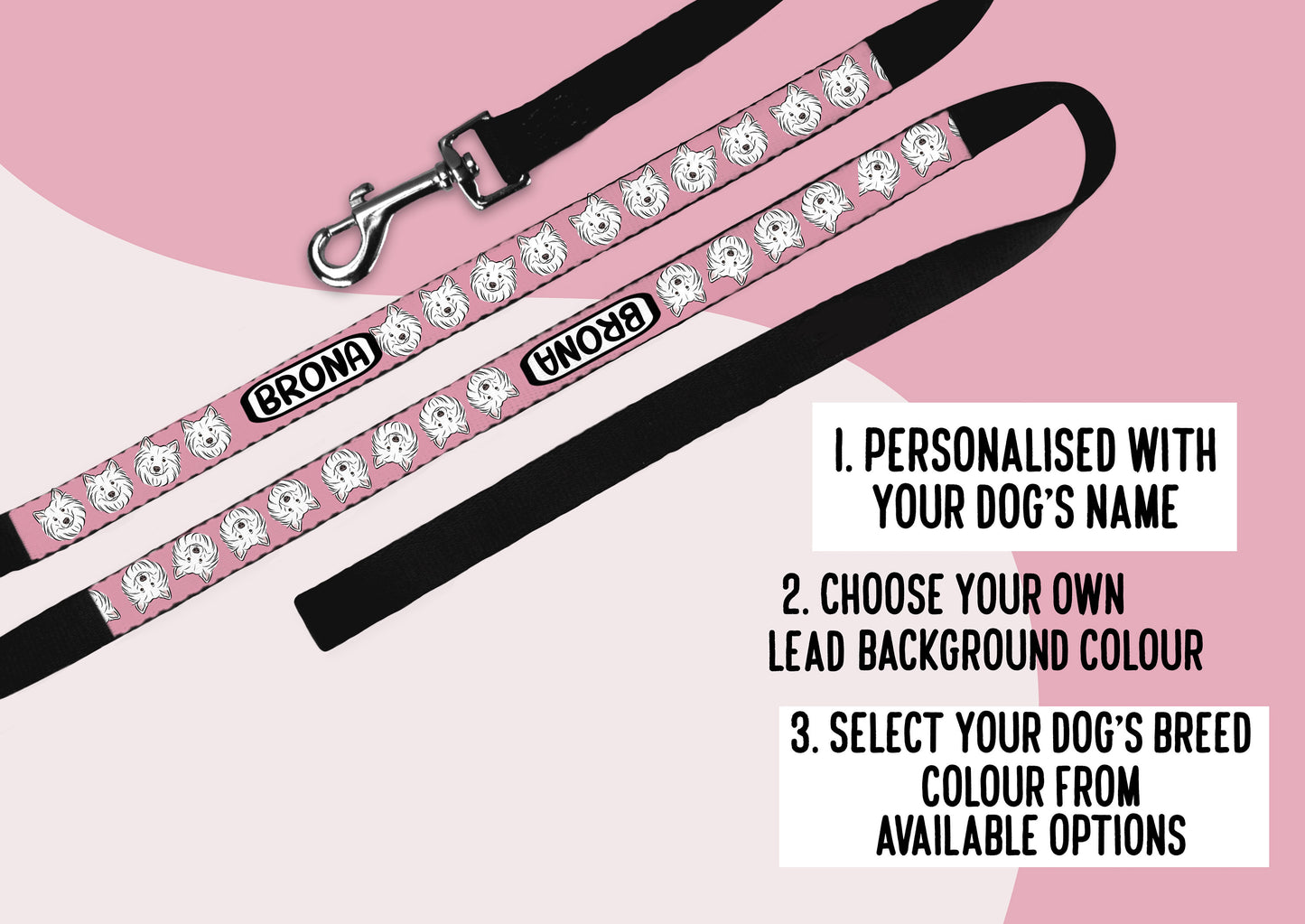 Samoyed Owner Dog Lead
