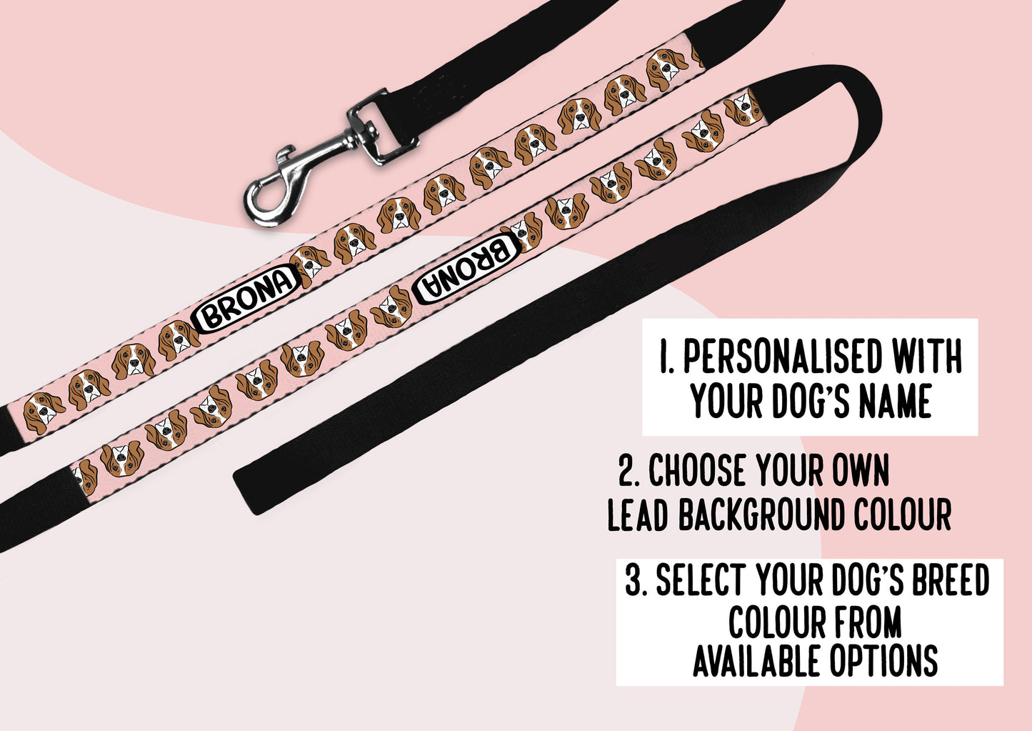 Beagle Dog Lead