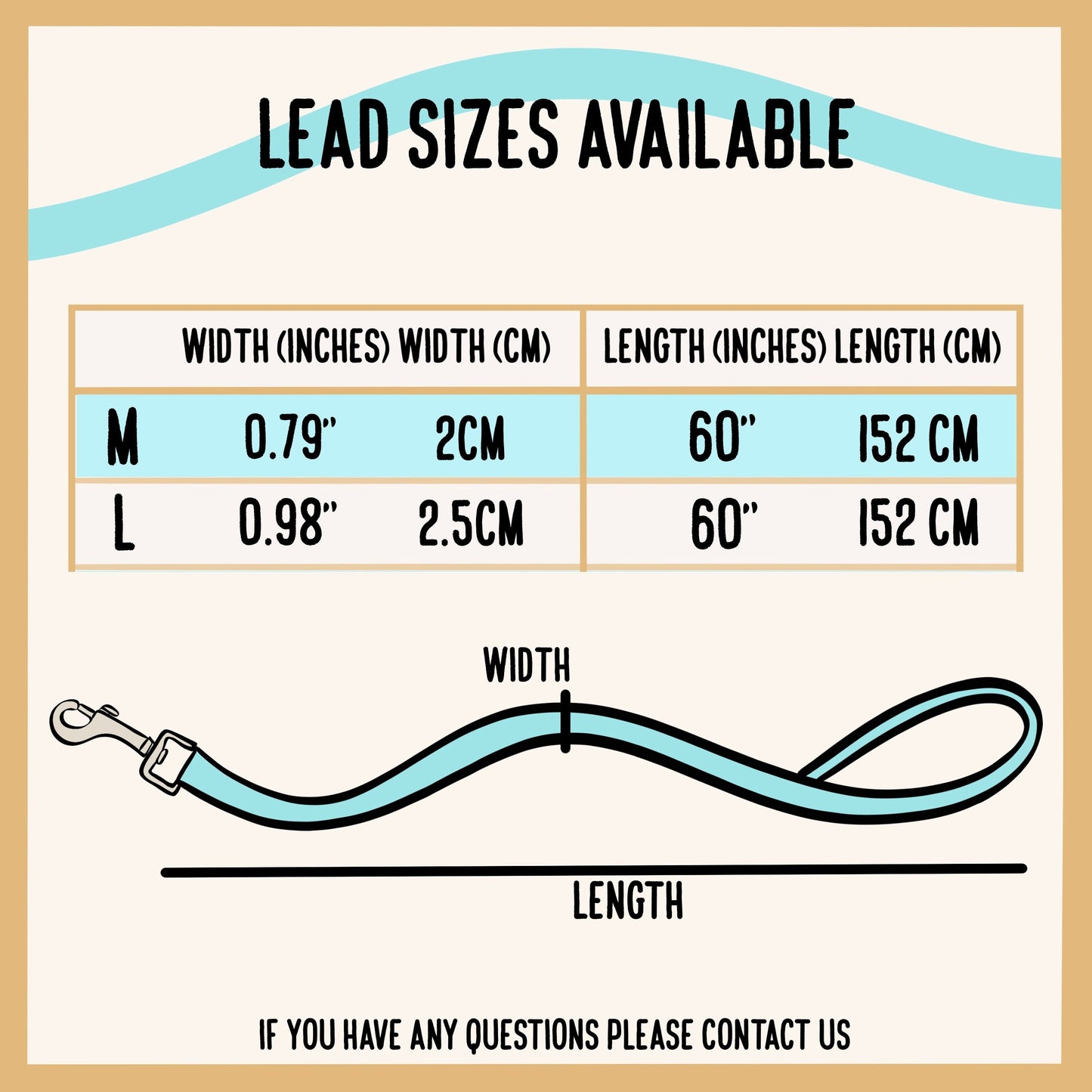 Beagle Dog Lead