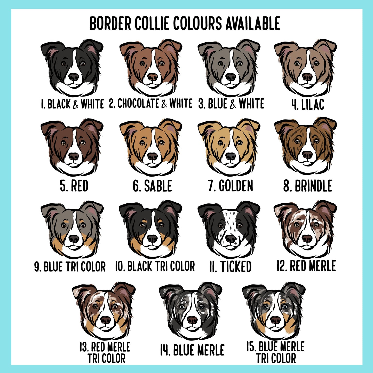 Border Collie Pattern Collar
