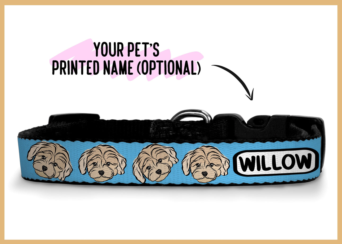 Maltipoo Dog Collar