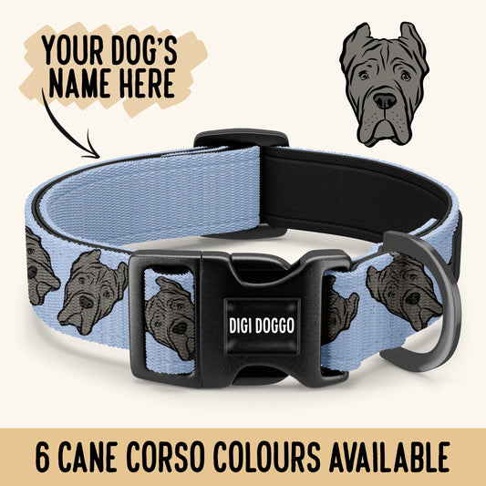 Cane Corso Collar