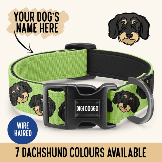 Wire Haired Dachshund Collar