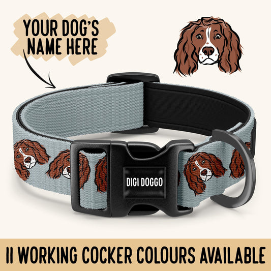 Working Cocker Spaniel Collar