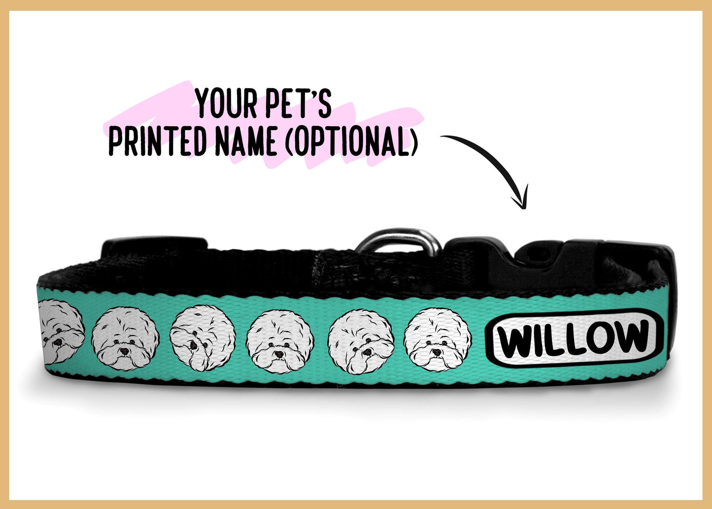 Bichon Frise Collar