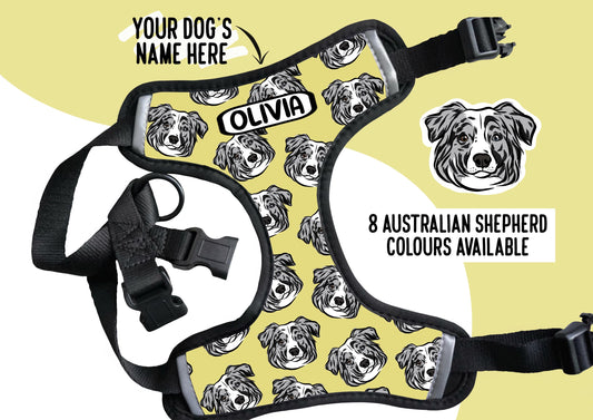 Australian Shepherd Harness