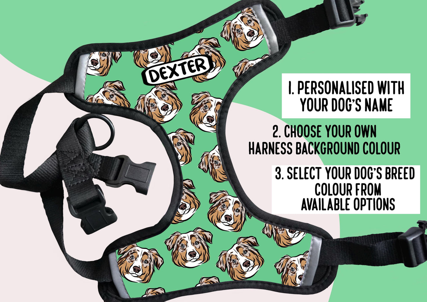 Australian Shepherd Harness