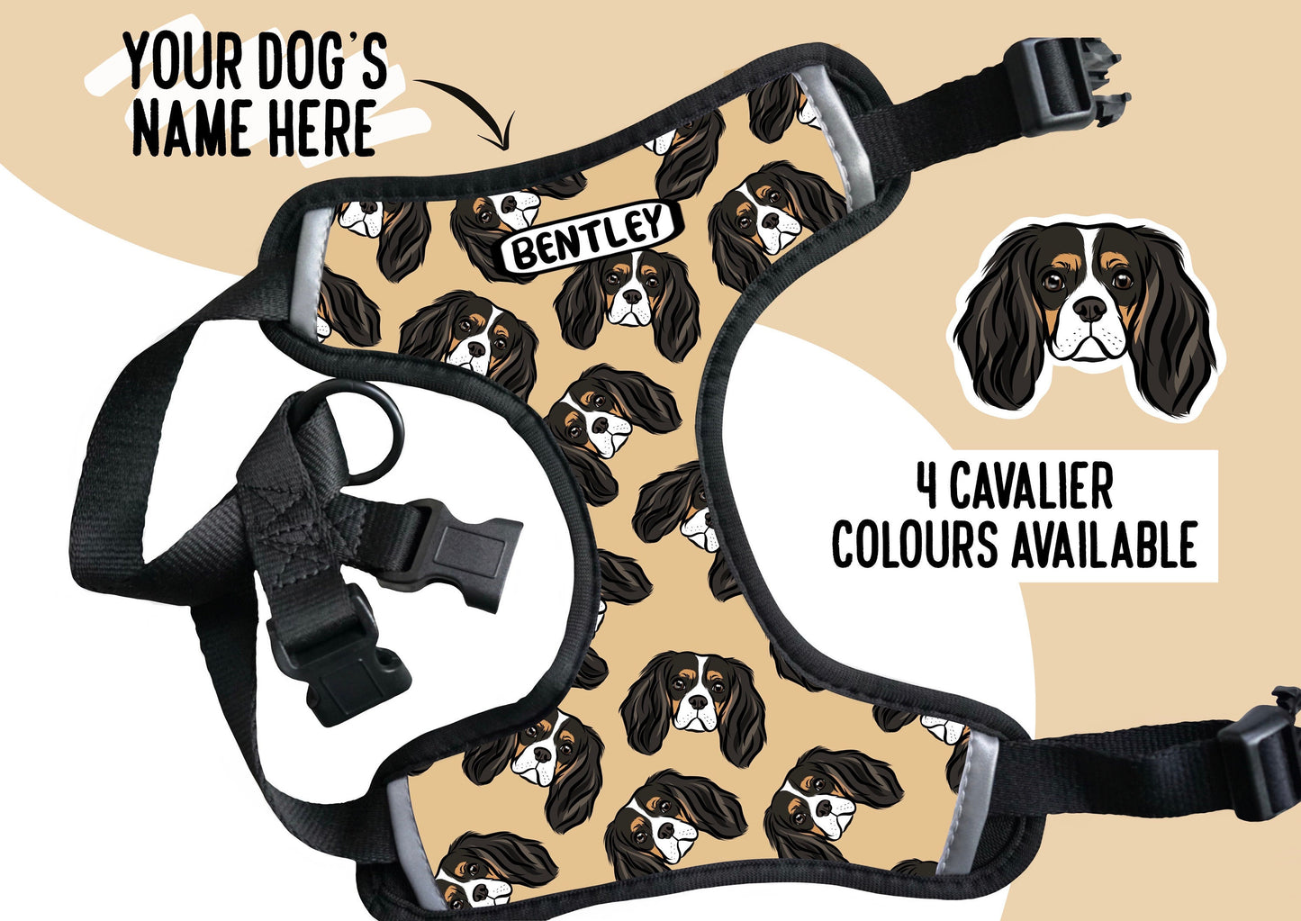 Cavalier King Charles Spaniel Harness