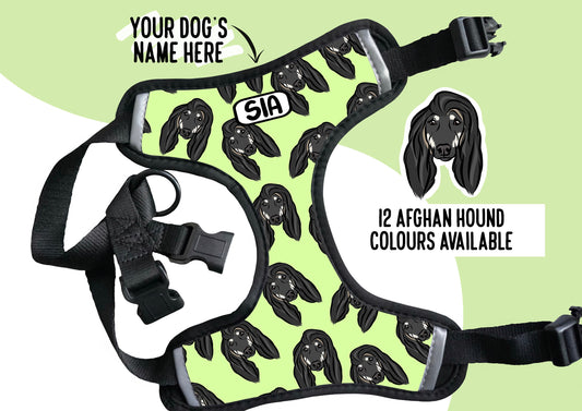 Afghan Hound Dog Harness