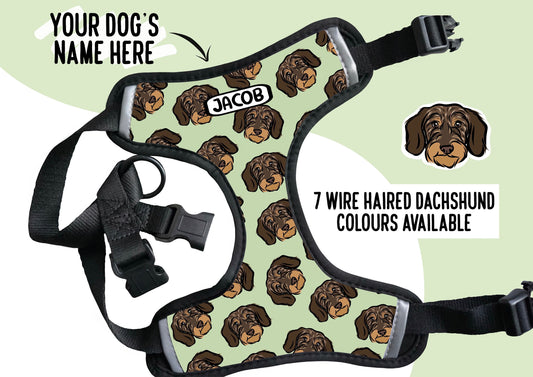 Wire Haired Dachshund Harness
