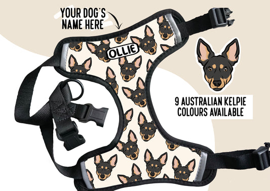 Australian Kelpie Harness