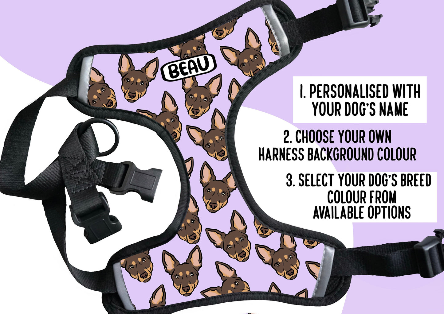 Australian Kelpie Harness