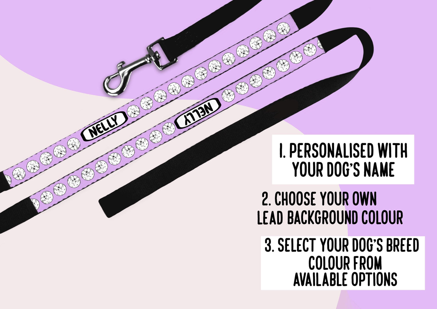 Bichon Frise Dog Lead