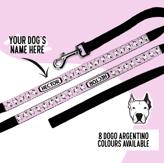 Dogo Argentino Lead