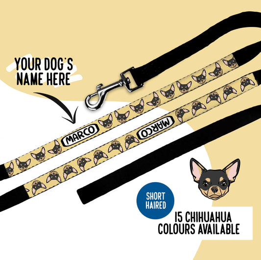 Chihuahua Dog Portrait Lead