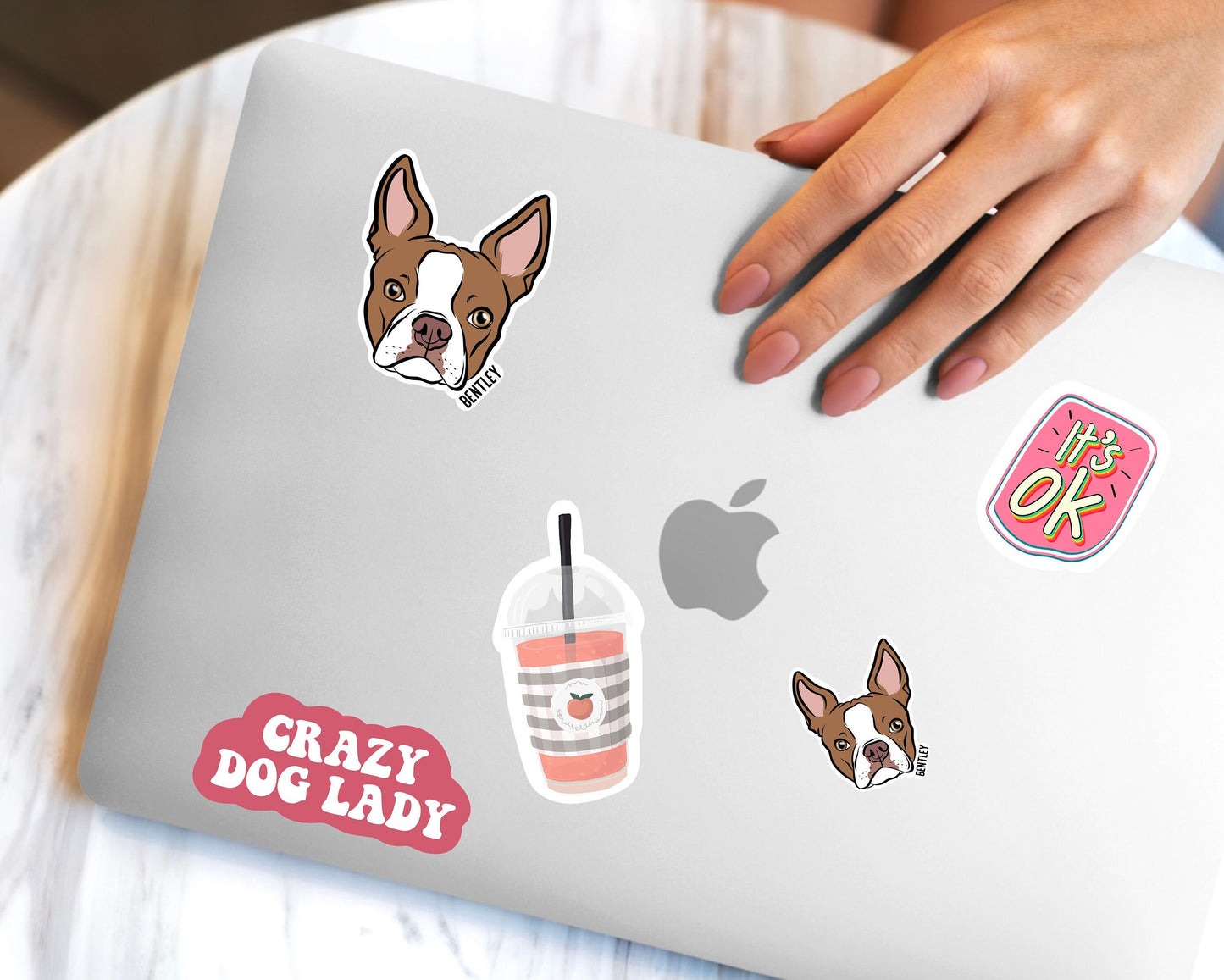 Boston Terrier Stickers