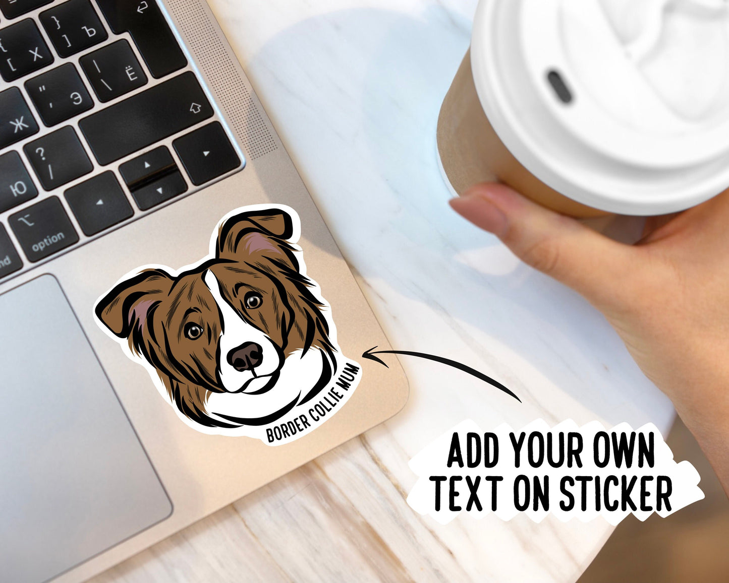 Border Collie Stickers