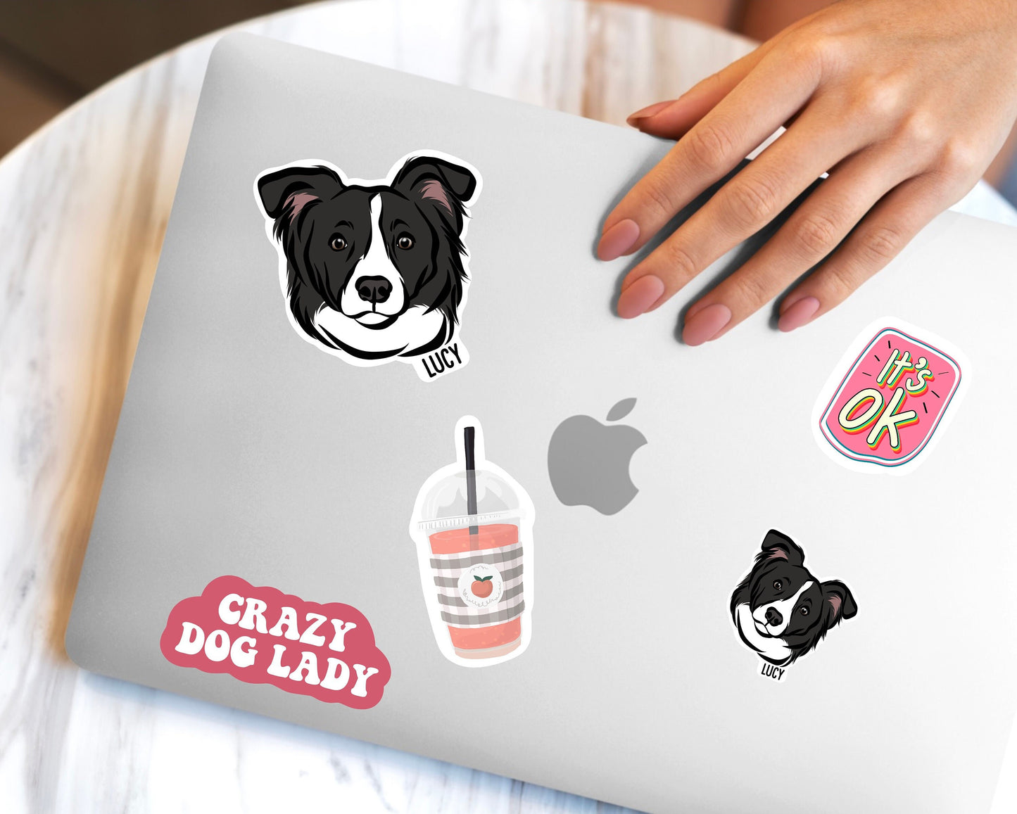 Border Collie Stickers