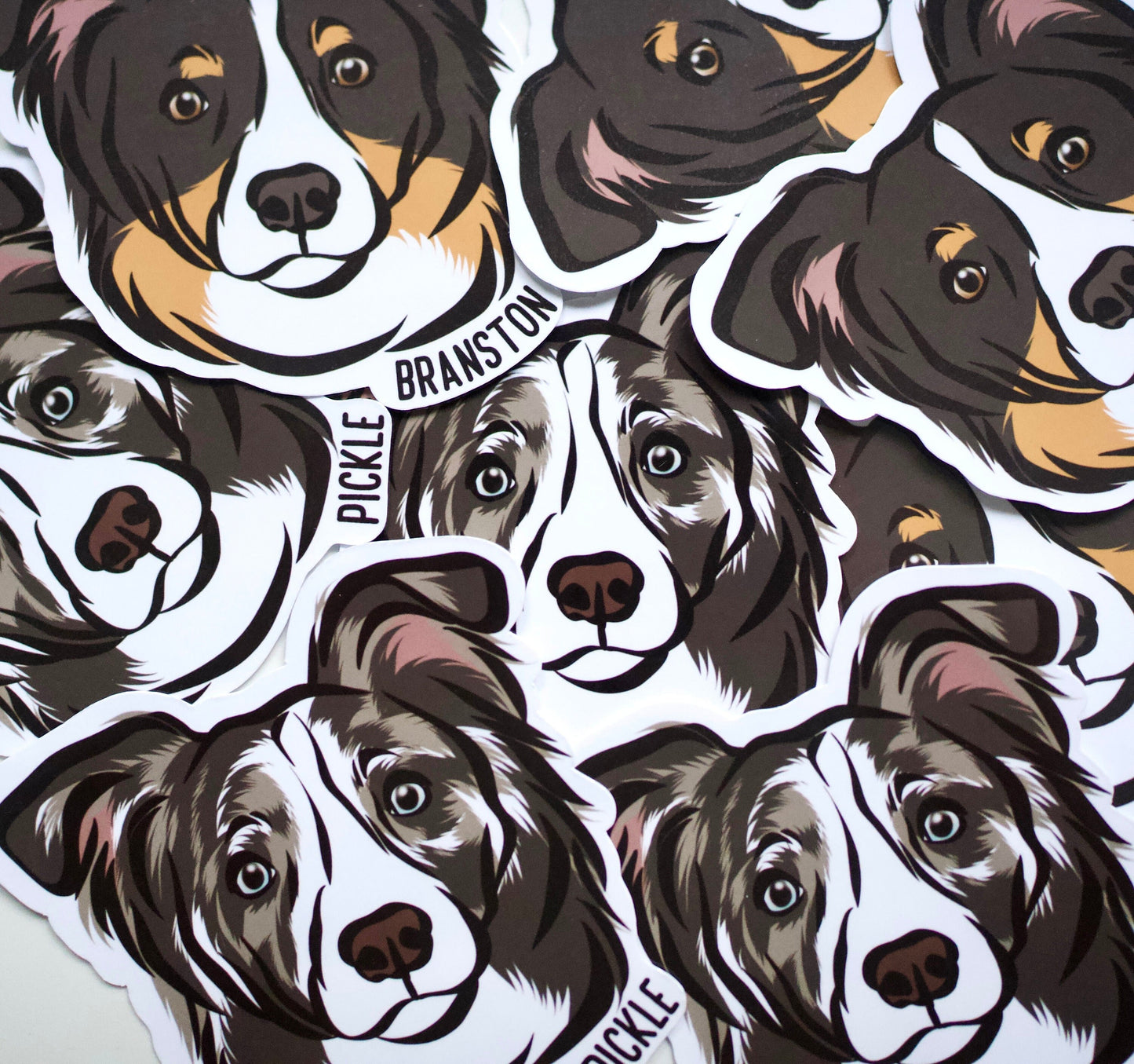 Border Collie Stickers