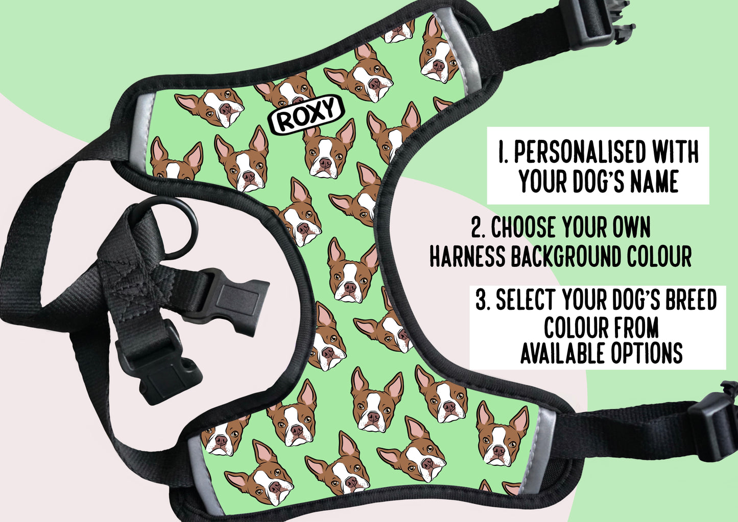 Boston Terrier Harness