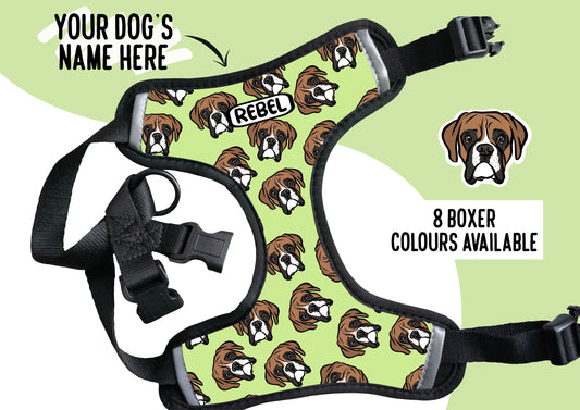 Boxer Face Harness