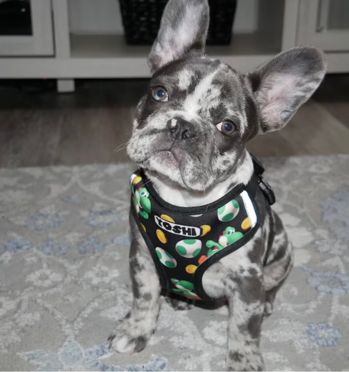 Create Your Pattern Harness