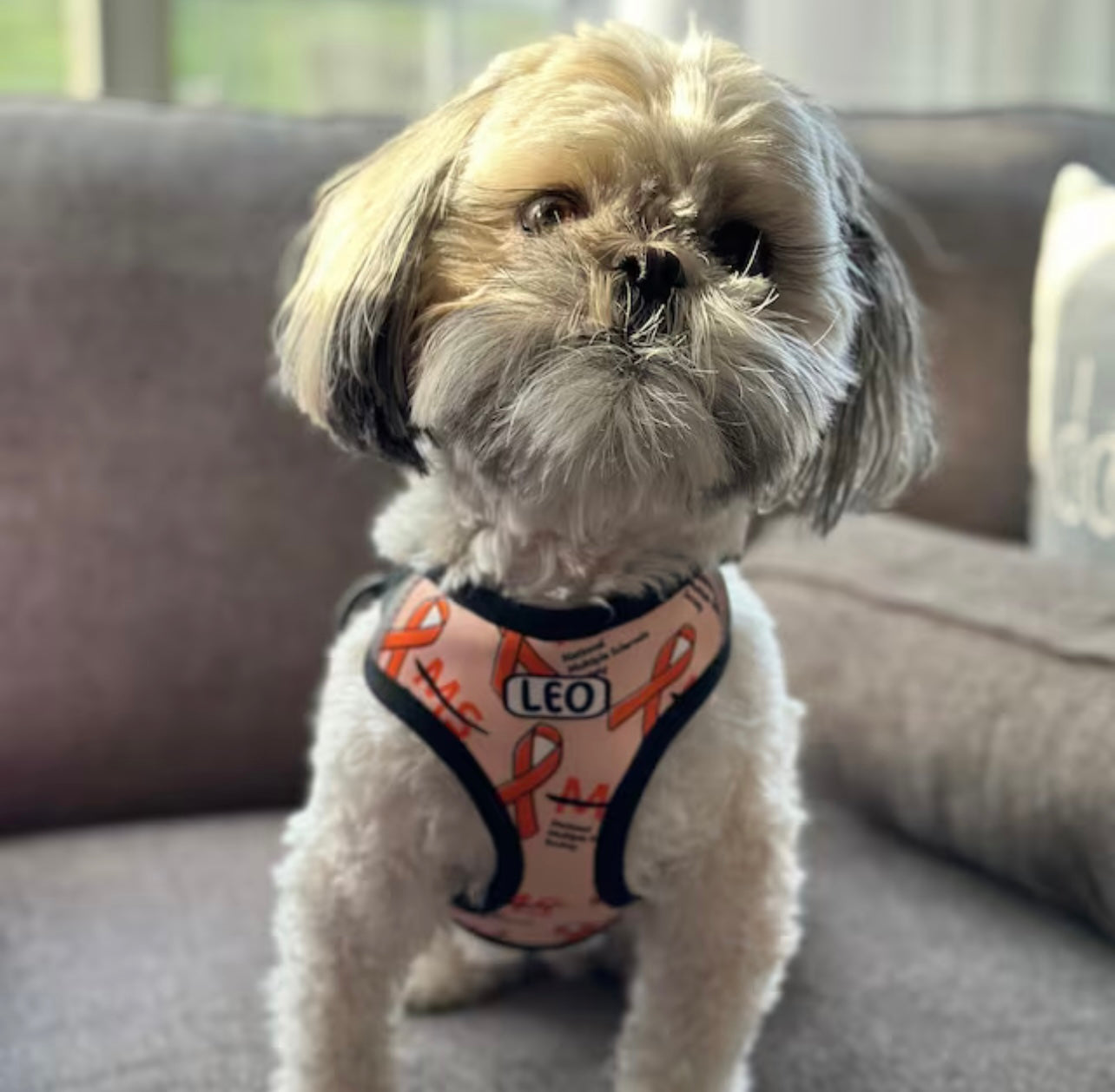 Create Your Pattern Harness